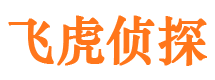 芦淞市婚姻调查